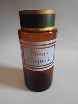 Fleurs de Coquelicot