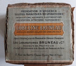 25 Ampoules LOBELINE BRUNEAU