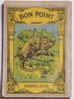 Bon Point JACQUEMAIRE - Le Caméléon