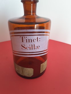 Tinctura Scilæ ou Tinct : Scillæ