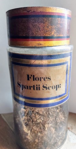 Flores Spartii Scop : Flacon en verre Herboristerie