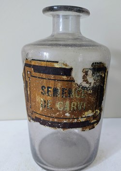 Semence de Carvi / Flacon de pharmacie 20 cm