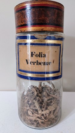 Flacon Herboristerie " Folia Verbenae"