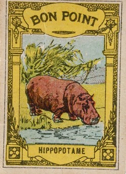 Bon Point JACQUEMAIRE - l'Hippopotame