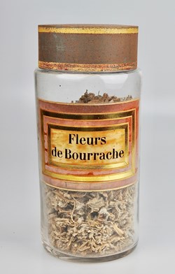 Flacon en verre Herboristerie grand modèle Pharmacie RAVASSE