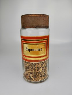Flacon en verre Herboristerie grand modèle Pharmacie RAVASSE