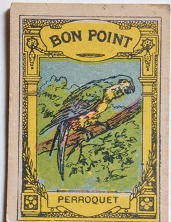 Bon Point JACQUEMAIRE - Le Perroquet