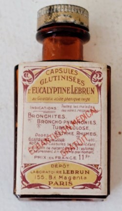 EUCALYPTINE Capsules GLUTINISÉES / Lebrun