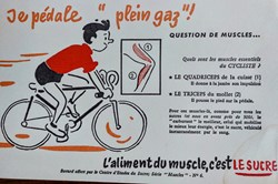 Le SUCRE Aliment du muscle - Série Muscles N° 6 ( Cyclisme )