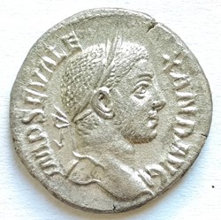 Alexander Severus