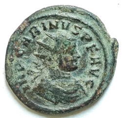 Carinus