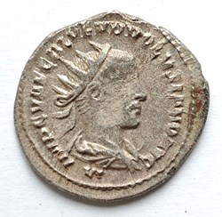 Volusianus