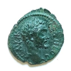 Septimius Severus AE18, Nicopolis ad Istrum