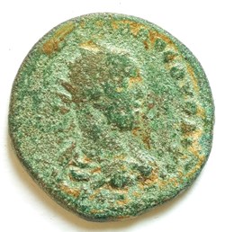 Volusianus, Anazarbus Cilicia