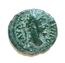 Septimius Severus AE17, Nicopolis ad Istrum