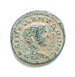 Diadumenian, Antiochia