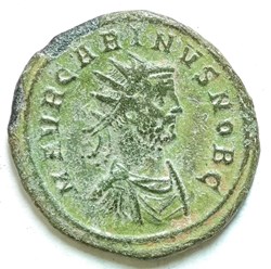 Carinus