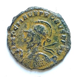 Probus