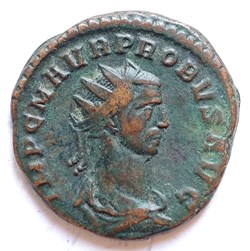 Probus