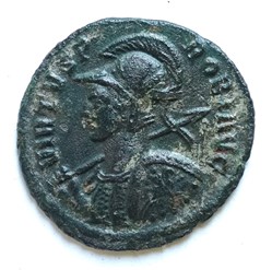 Probus