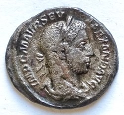 Alexander Severus