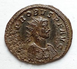 Probus