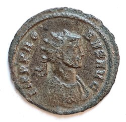Probus