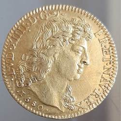 1680 X Louis d'or à la tête virile