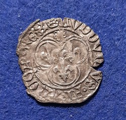 1461 - 1843 - petit blanc au soleil