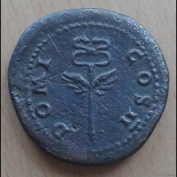 Domitien - quadrans