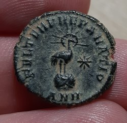 CONSTANCE II – Demi-maiorina
