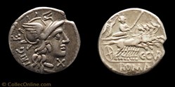 223/1 Curatia -142