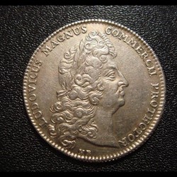 LOUIS XV à l'effigie de LOUIS XIV ?