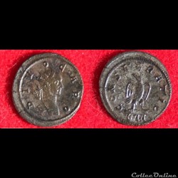 Divus Carus