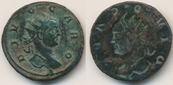 Divus Carus