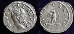 Divus Septimius