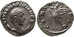 Diva Mariniana