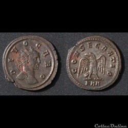 Divus Carus