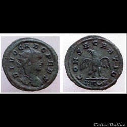 Divus Carus
