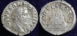 Divus Antoninus