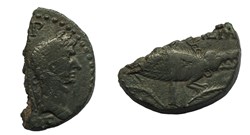 Demi dupondius de Nîmes 3ème type