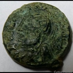Pixtilos. Carnutes. Bronze au Lion.