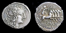 P. MAE ANT MF - Denarius, RRC 249/1