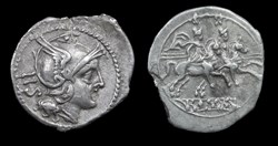 RRC 44/7, Group 2 sestertius (tail down)