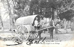 Carte Postale (40) Meunier Landais et son attelage
