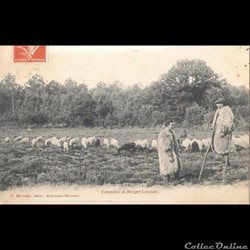 Carte Postale (40) Landes