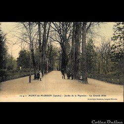Carte Postale (40) Mont de Marsan