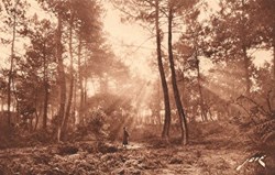 Carte Postale (40) Capbreton-Hossegor