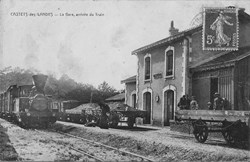 Carte Postale (40) Castets-des-Landes