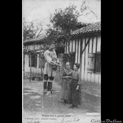 Carte Postale (40) Facteur dans la grande Lande